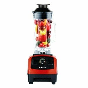 ბლენდერი HAEGER HG-2801