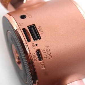 კარაოკე მიკროფონი Wster WS-668 (USB, microSD, AUX, Bluetooth)