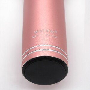 კარაოკე მიკროფონი Wster WS-668 (USB, microSD, AUX, Bluetooth)